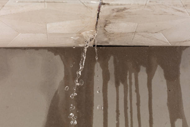 Professional Burst Pipe Cleanup technician working in Dolan Springs, AZ